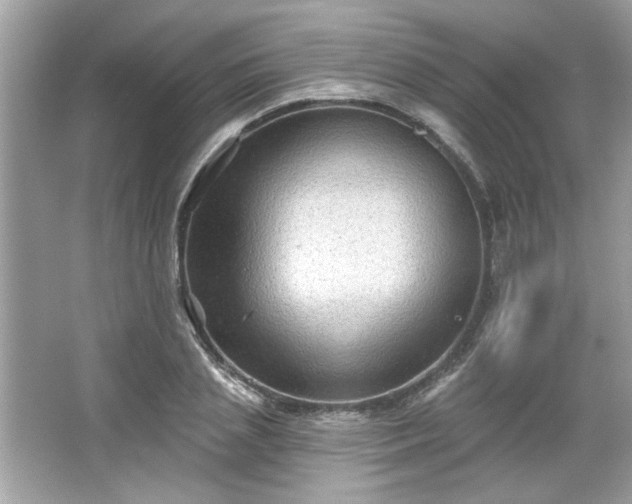 X0000065990837200603101502