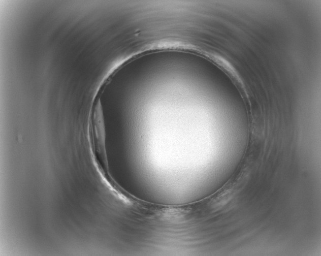 X0000065990847200603101502