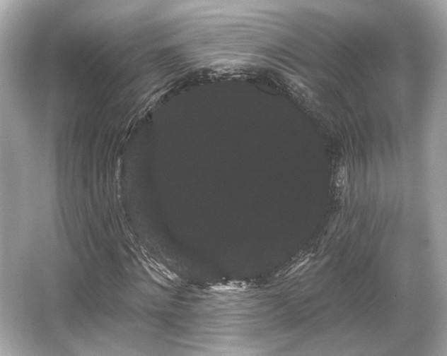 X0000065990868200603101502
