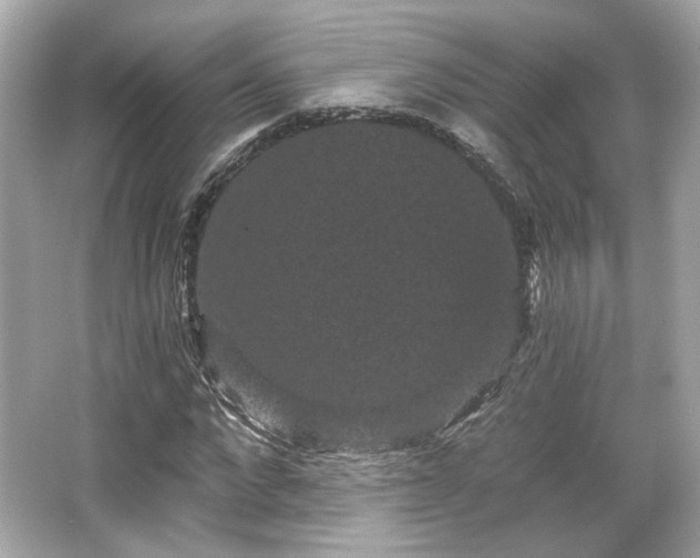 X0000065990872200603101502