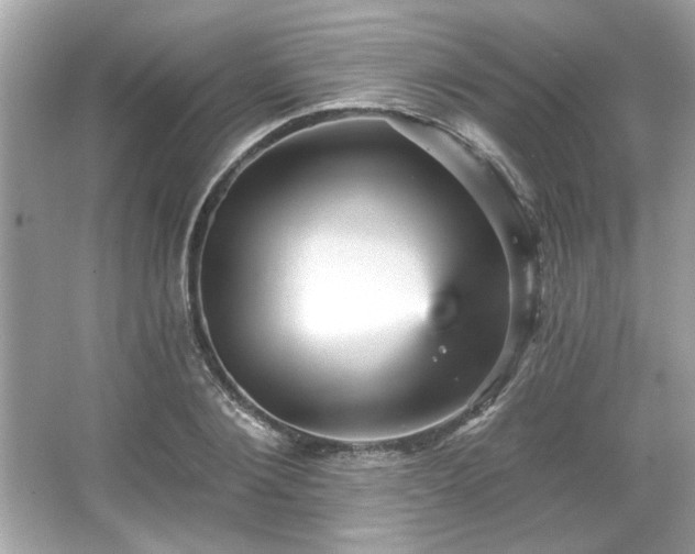 X0000065990884200603101502
