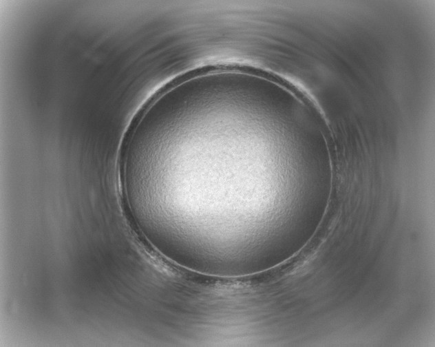 X0000065990887200603101501