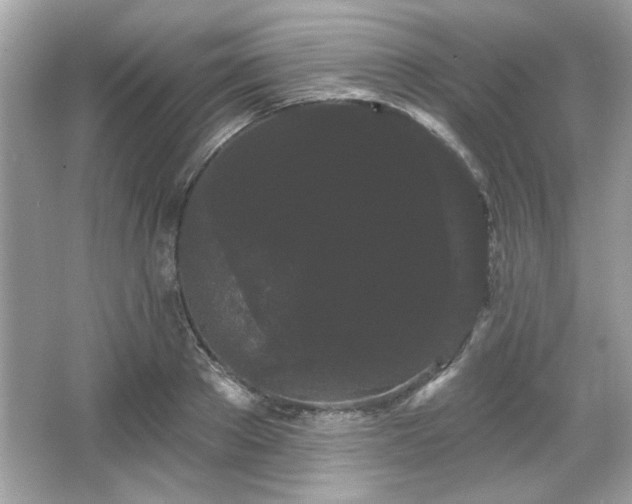 X0000065990889200603101501