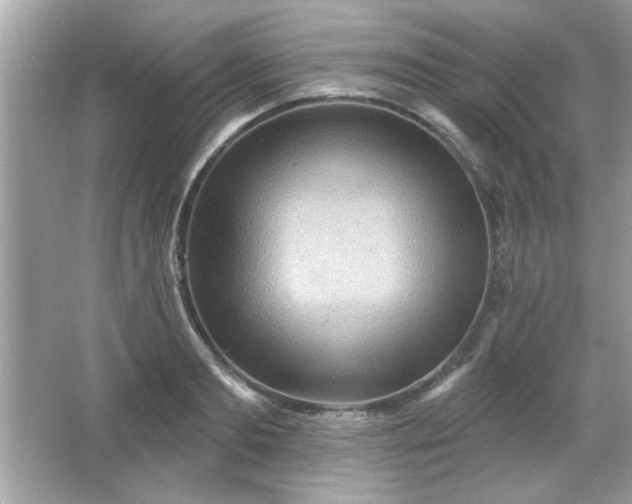 X0000065990893200603101501