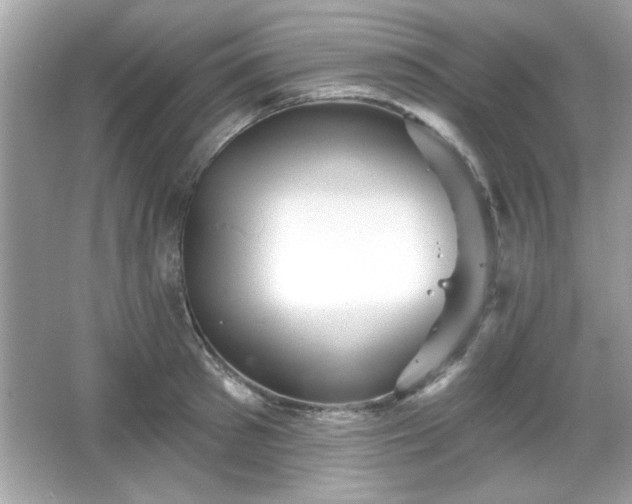 X0000065990897200603101501