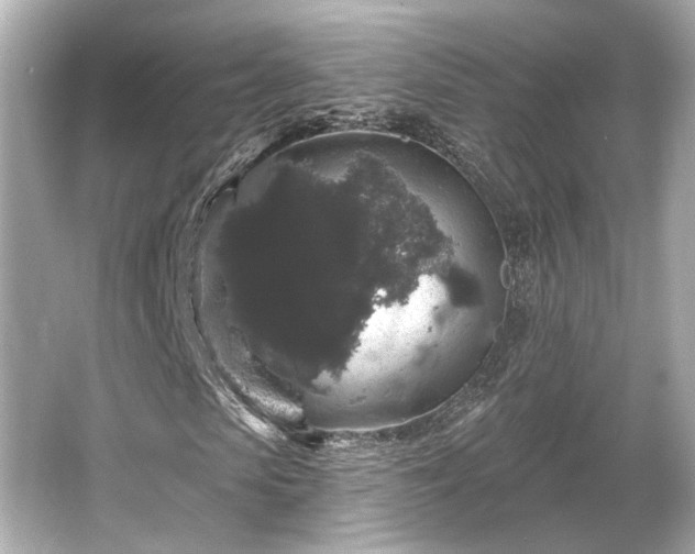 X0000065990913200603101500
