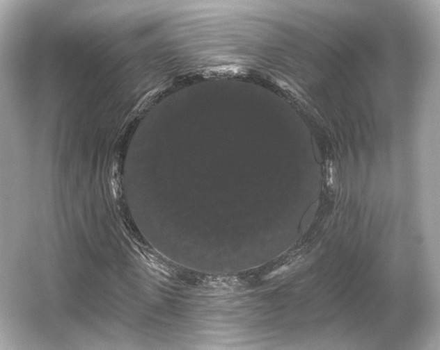 X0000065990915200603101500