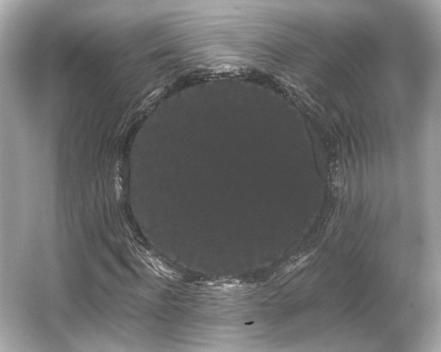X0000065990916200603101500