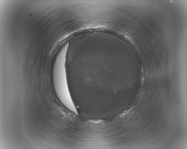 X0000065990920200603101500