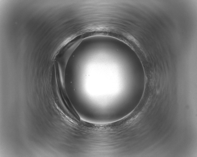 X0000065990922200603101500