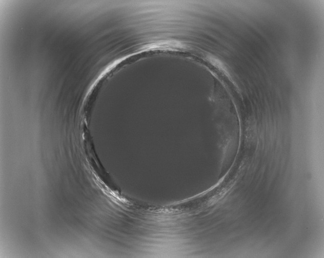 X0000065990923200603101500