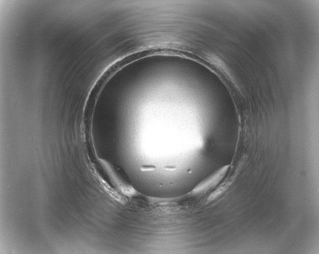 X0000065990924200603101500