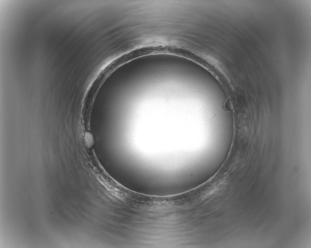 X0000065990927200603101500