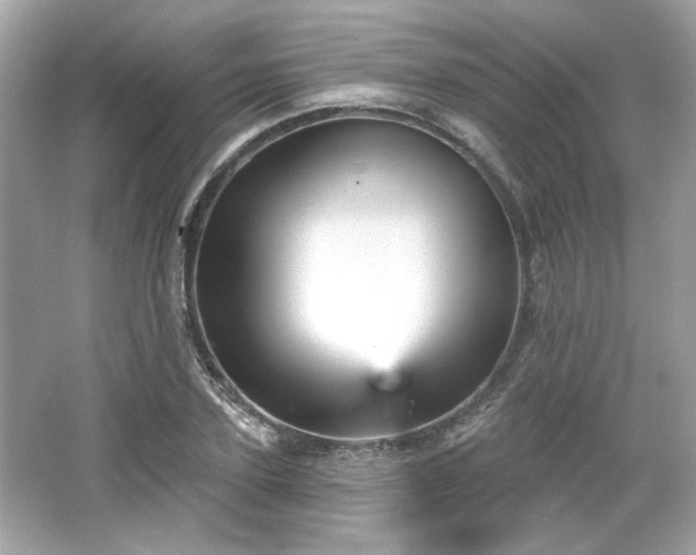 X0000065990931200603101501