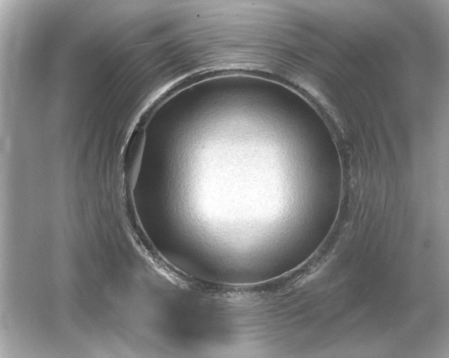 X0000065990933200603101501