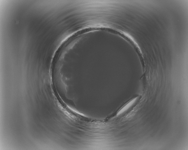 X0000065990935200603101501