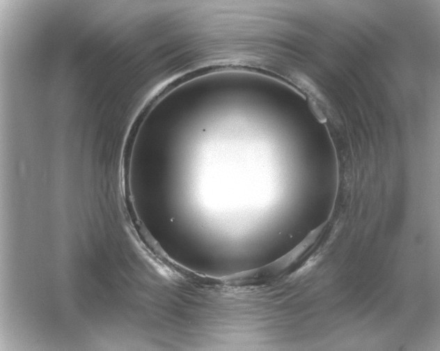X0000065990940200603101501