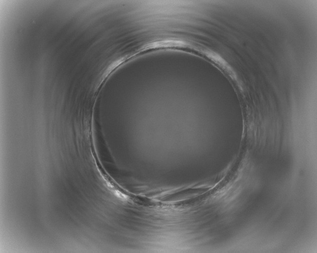 X0000065990945200603101501
