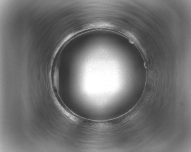 X0000065990947200603101501