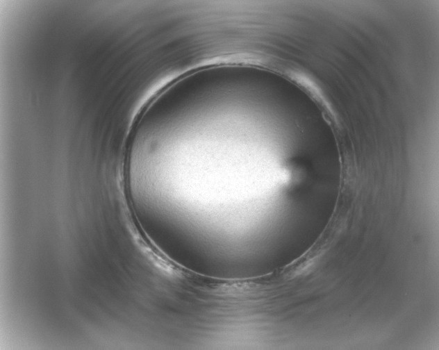 X0000065990952200603101501