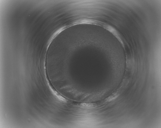 X0000065990954200603101501
