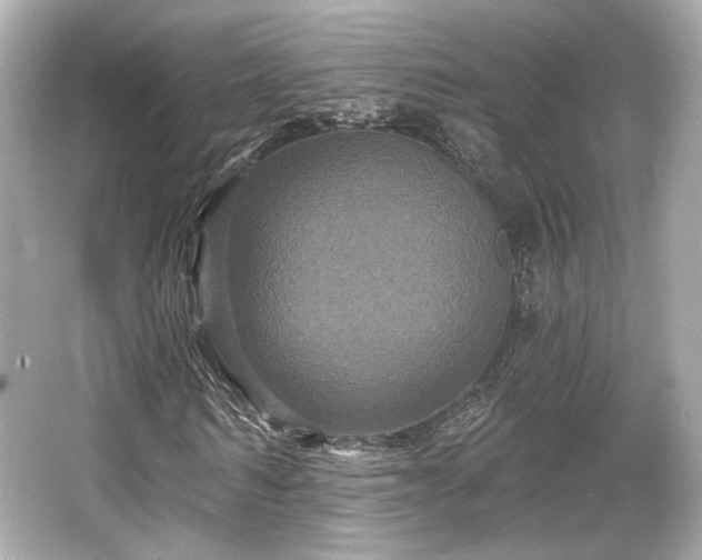 X0000065990962200603101500