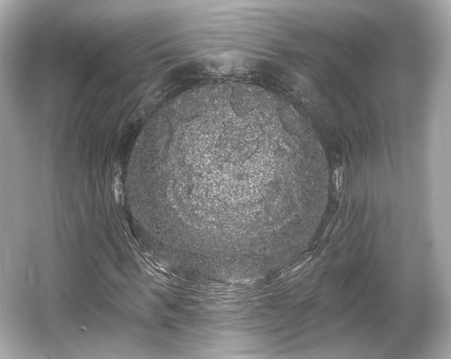X0000065990963200603101500