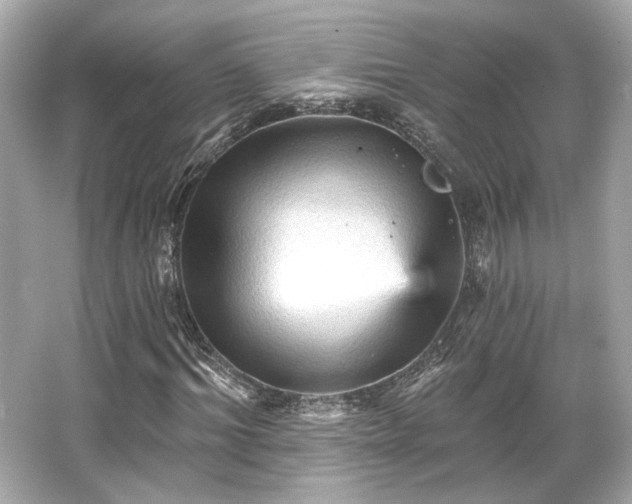 X0000065990964200603101500