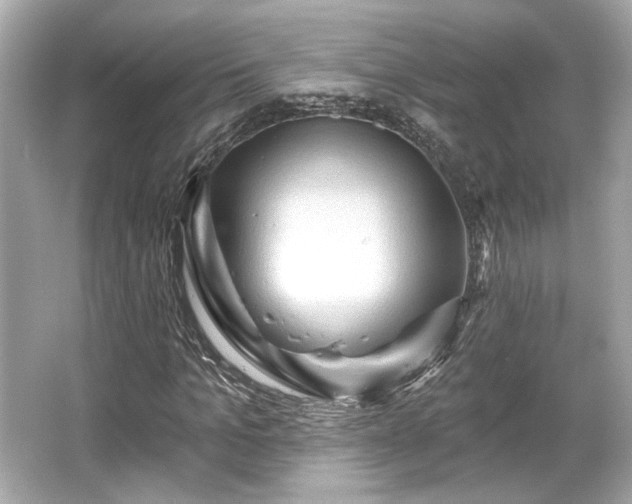 X0000065990965200603101500