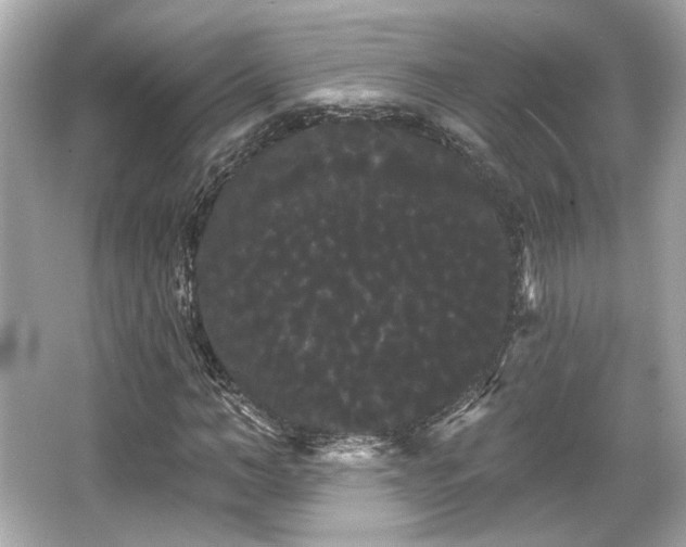 X0000065990966200603101500