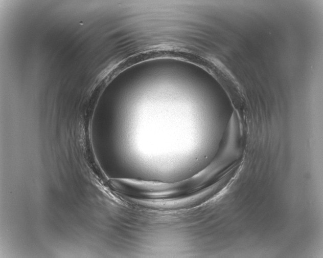 X0000065990969200603101500