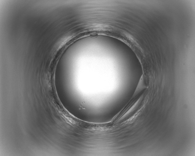 X0000065990970200603101500