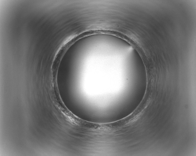 X0000065990974200603101500