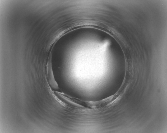 X0000065990985200603101500