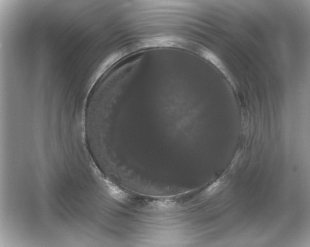 X0000065990994200603101500