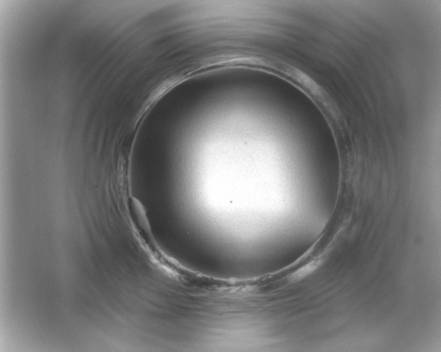 X0000065991001200603101500
