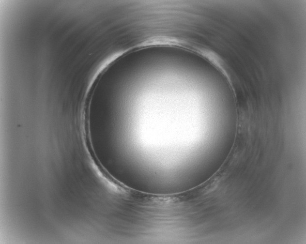 X0000065991003200603101500