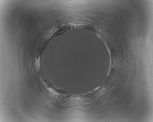 X0000065991010200603101459