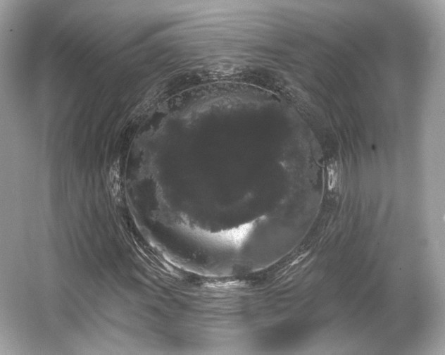 X0000065991011200603101459