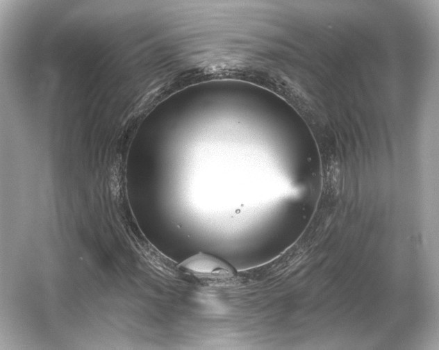 X0000065991012200603101459