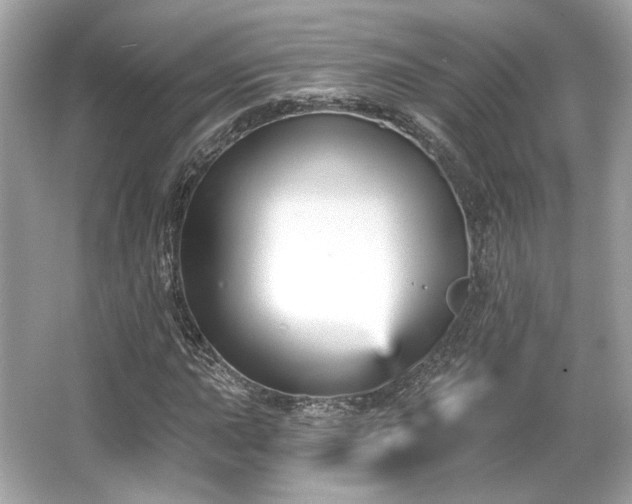 X0000065991015200603101459