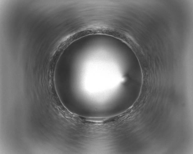 X0000065991016200603101459