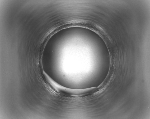 X0000065991017200603101459