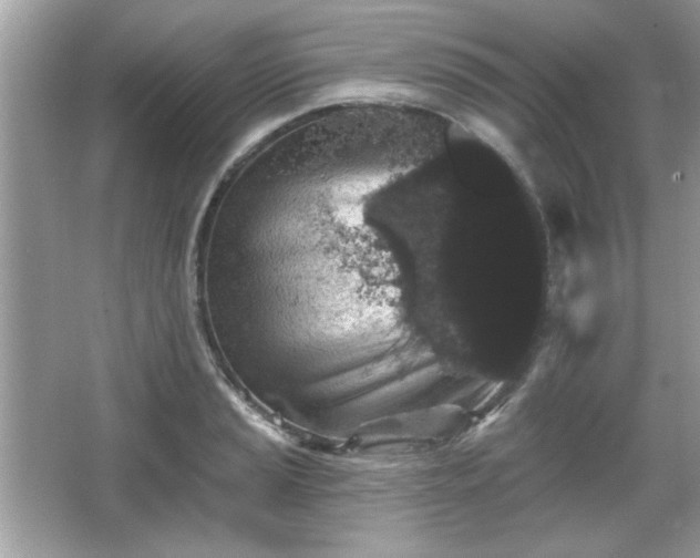 X0000065991037200603101459