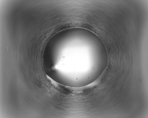 X0000065991057200603101459