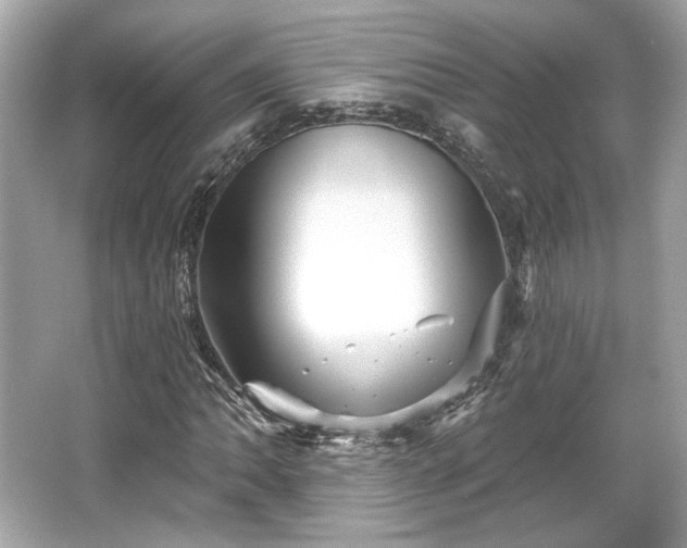 X0000065991062200603101459