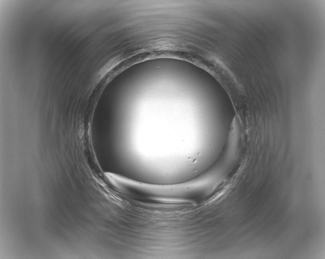 X0000065991065200603101458