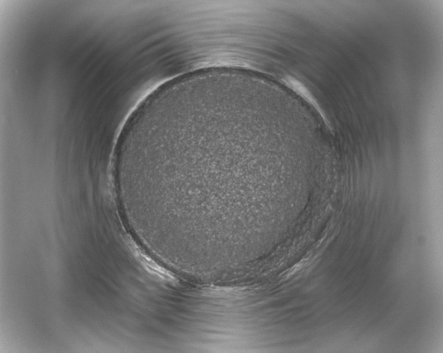 X0000065991068200603101458