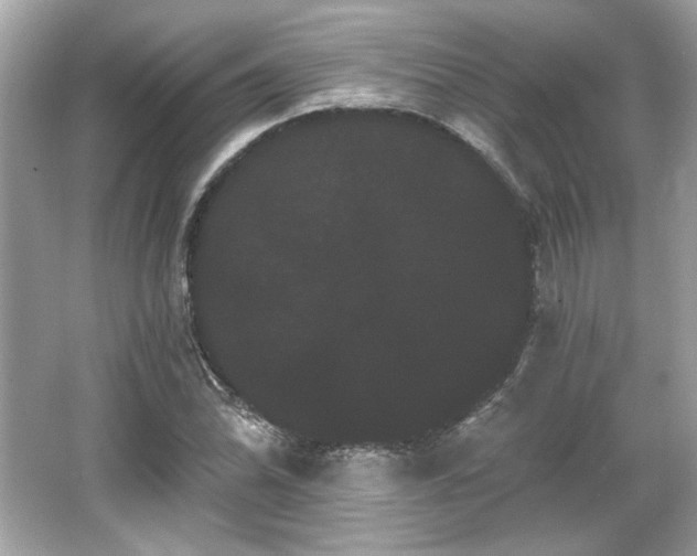 X0000065991070200603101458