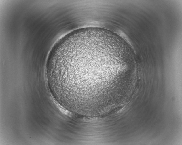 X0000065991072200603101458